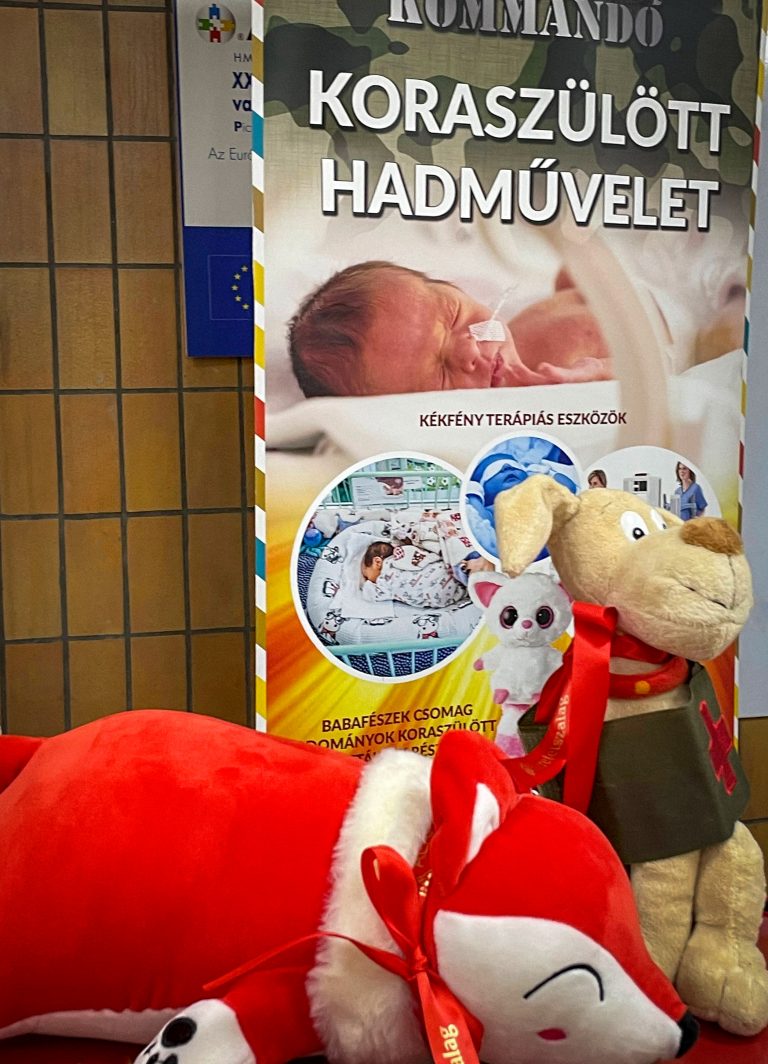 Szeretetfészkek – avagy: Akcióban a Plüsskommandó